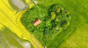L4 stało się synonimem udawanej choroby. W rzeczywistości kryją się za nim remonty i Mazury