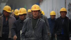 Problemy migracyjne w Polsce to pokłosie działalności januszexów